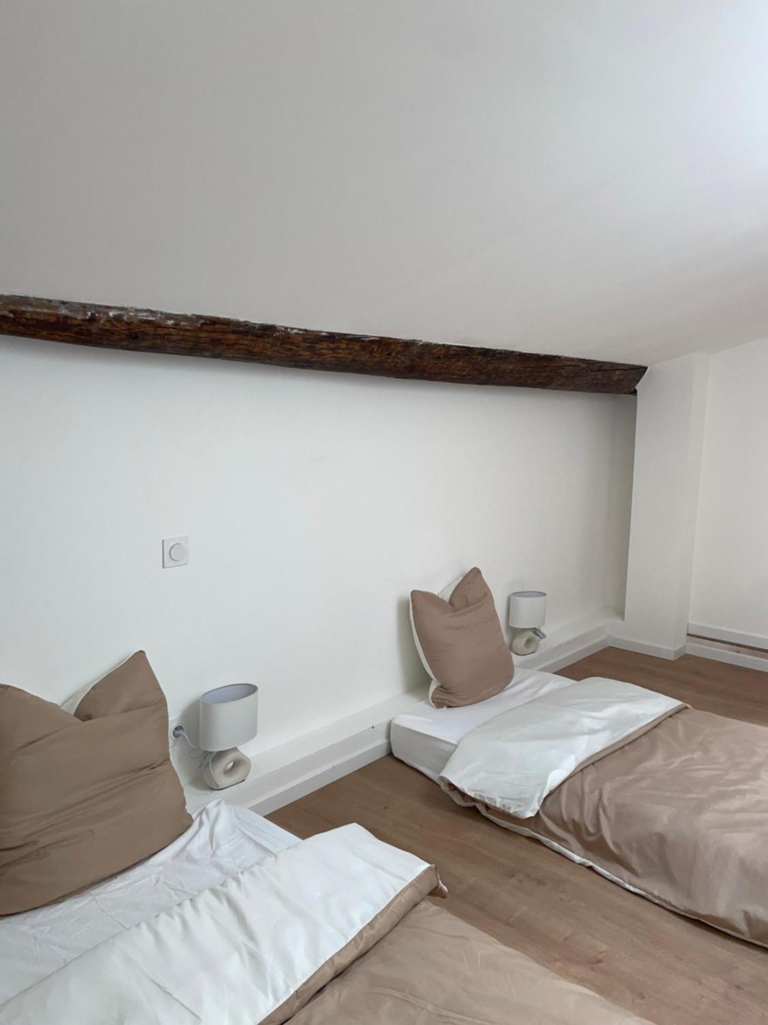Duplex Raffine, Elegant & Climatise - La Mezz Apartment นีมส์ ภายนอก รูปภาพ